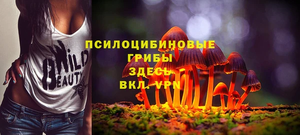 кокаин Алексеевка