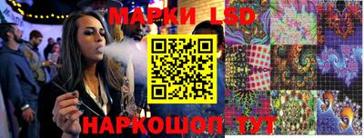 МДПВ Бердск