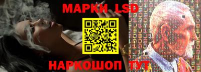 МДПВ Бердск