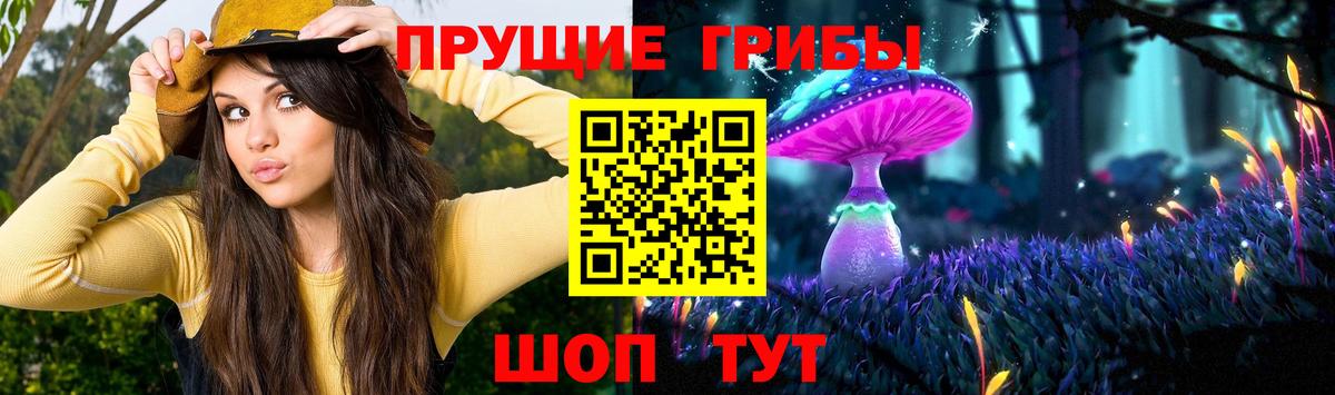 Галлюциногенные грибы мухоморы  Галлюциногенные грибы MAGIC MUSHROOMS  Вход с VPN  Глазов 